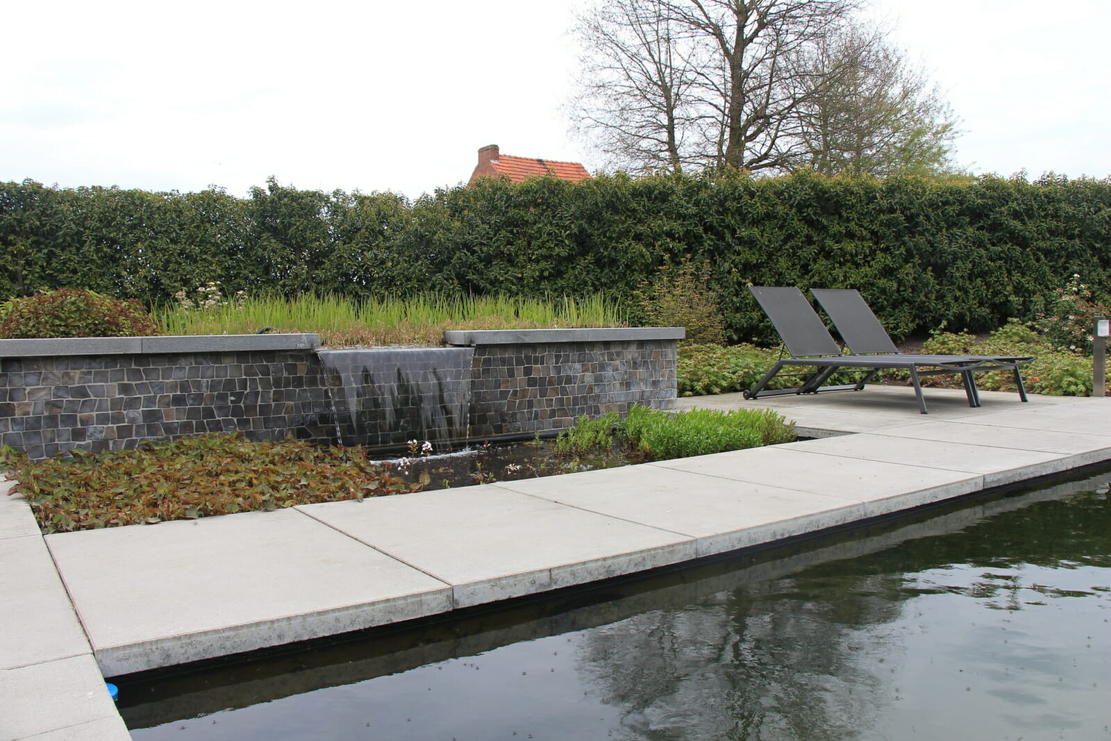 zwemvijver